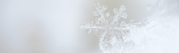 CHARGÉ(E) D'AFFAIRES EN FROID (F/H) 